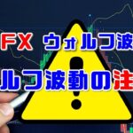 FXウォルフ波動の注意点