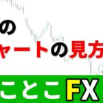 FX初心者のためのチャートの見方