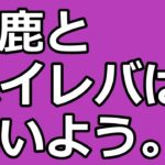 FXのハイレバってどうなの？