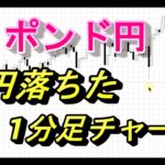 【FX】1日で27円暴落したポンド円の1分足チャートを再現してみた【2016/6/24ブレグジット】