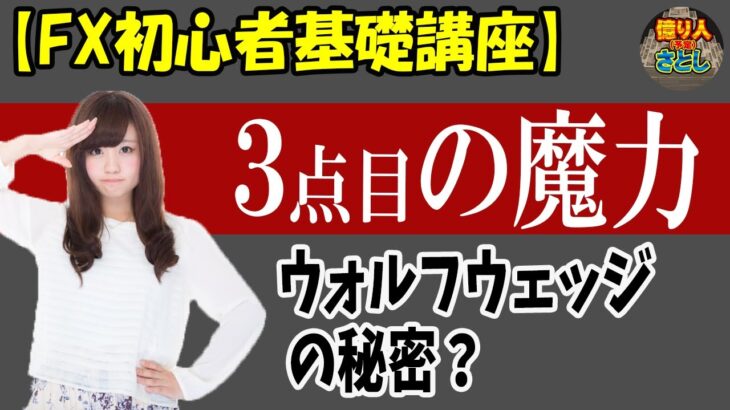 初心者FX入門講座　ウォルフウェッジの秘密？3点目の魔力【投資家プロジェクト億り人さとし】