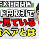 【FX相関関係】ポンド円トレーダーが唯一注目して見ている対象の通貨ペアとは｜日足が陰線陽線での売り買いを決める際の注意点（相関性,ドル円,ドルストレート,クロス円,日足トレード）