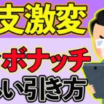 【フィボナッチ基礎講座】初心者でも丸わかり！勝てる引き方を伝授。