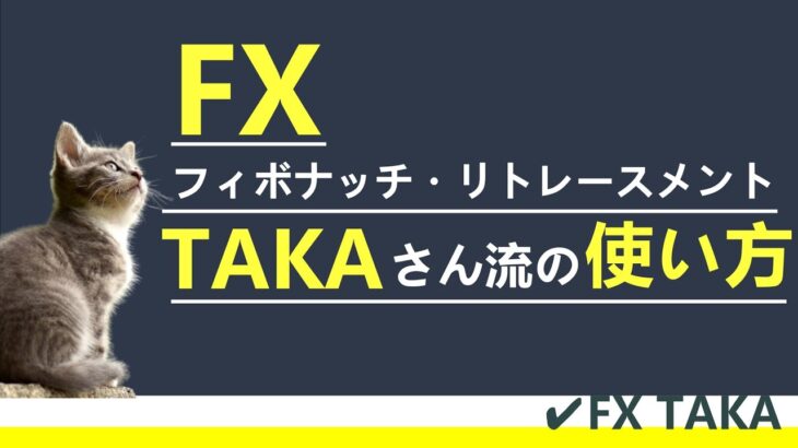 【FX TAKA】フィボナッチリトレースメントのTAKAさん流の使い方【切り抜き】