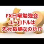 FX日曜勉強会 ユーロドルは先行指標なのか⁉