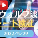 FX雑談ライブ 週末のFXウォルフ波動チャート検証（2022/5/29）