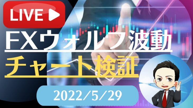 FX雑談ライブ 週末のFXウォルフ波動チャート検証（2022/5/29）