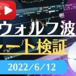 FX雑談ライブ 週末のFXウォルフ波動チャート検証（2022/6/12）