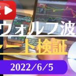 FX雑談ライブ 週末のFXウォルフ波動チャート検証（2022/6/5）