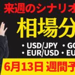 【為替FX相場分析】「ドル円・ゴールド・ユーロドル・ユーロ円　6月13日～トレードシナリオ【投資家プロジェクト億り人さとし】