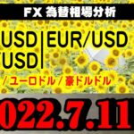 FX為替【GBP(ポンドドル)EUR(ユーロドル)AUD(豪ドルドル)】2021.7.11相場分析(倍速再生推奨)