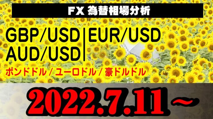 FX為替【GBP(ポンドドル)EUR(ユーロドル)AUD(豪ドルドル)】2021.7.11相場分析(倍速再生推奨)