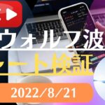 FX雑談ライブ 週末のFXウォルフ波動チャート検証（2022/8/21）