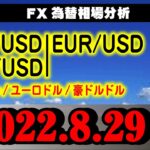 FX為替【GBP(ポンドドル)EUR(ユーロドル)AUD(豪ドルドル)】2022.8.29相場分析(倍速再生推奨)