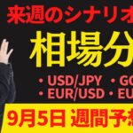 【為替FX相場分析】「ドル円・ゴールド・ユーロドル・ユーロ円　9月5日～トレードシナリオ【投資家プロジェクト億り人さとし】