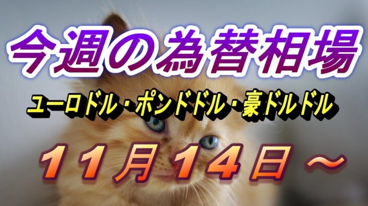 【TAKA FX】ユーロドル、ポンドドル、豪ドルドルの今週の為替相場の動きと来週の展望をチャートから解説。11月14日～