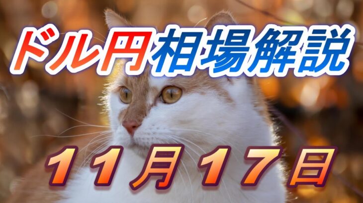 【TAKA FX】ドル円為替相場の前日の動きをチャートから解説。日経平均、NYダウ、金チャートも。11月17日