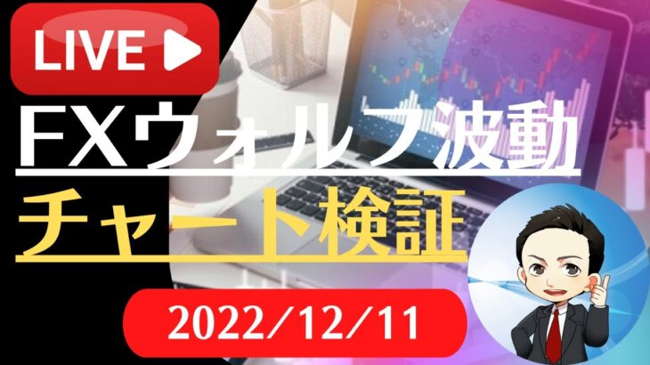 FX雑談ライブ 週末のFXウォルフ波動チャート検証（2022/12/11）
