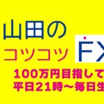 (1/20)ドル円1分足スキャルピング生中継（FXライブ配信）