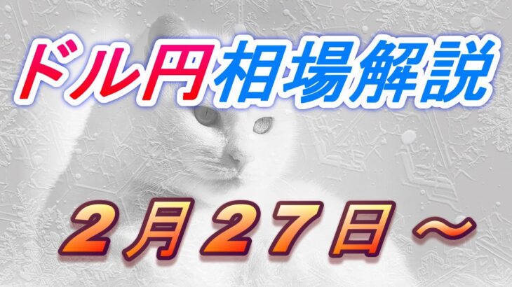 【TAKA FX】ドル円為替相場の今週の動きと来週の展望をチャートから解説。日経平均、NYダウ、金チャートも。2月27日～