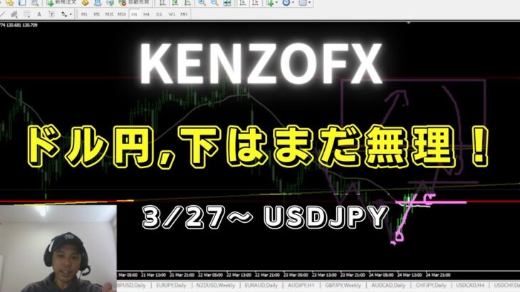 【KENZOFX】ドル円,下はまだ無理です、、 ドル円の最新の動きを分析 2023年3月27日～　 #fx初心者 #環境認識 #ドル円予想