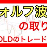 【手法】ウォルフ波動について！GOLDのトレード解説！