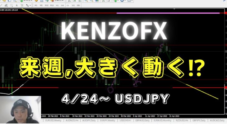 【KENZOFX】来週,大きく動く⁉ ドル円の最新の動きを分析 2023年4月22日　 #fx初心者 #環境認識 #ドル円予想