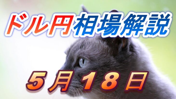 【TAKA FX】ドル円為替相場の前日の動きをチャートから解説。日経平均、NYダウ、金チャートも。5月18日