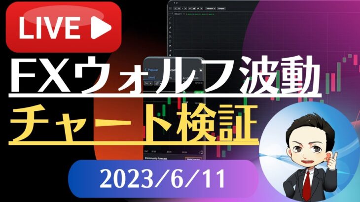 FX雑談ライブ 週末のFXウォルフ波動チャート検証（2023/6/11）