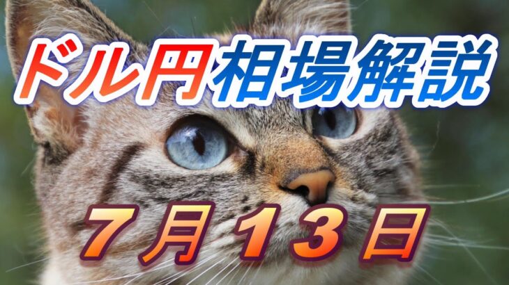 【TAKA FX】ドル円為替相場の前日の動きをチャートから解説。日経平均、NYダウ、金チャートも。7月13日