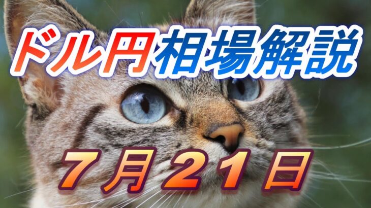 【TAKA FX】ドル円為替相場の前日の動きをチャートから解説。日経平均、NYダウ、金チャートも。7月21日