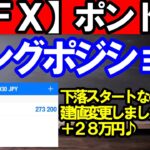 【ＦＸ】ユーロ円　ロング現在＋２８万円！