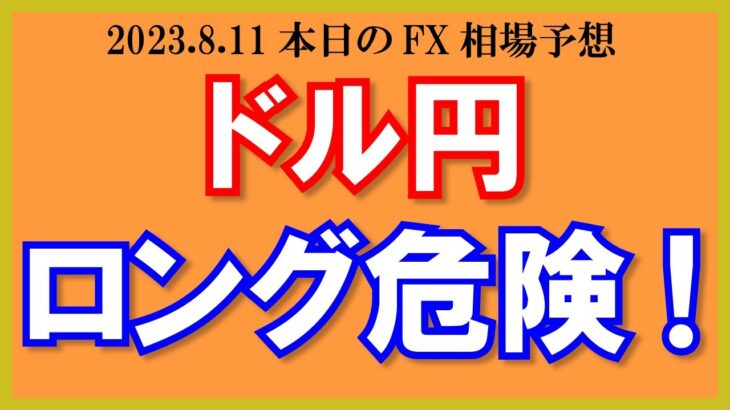 【ドル円】ロング危険！145円の節目で反発か？ユーロ円はロングホールド中【2023/8/11.FX相場予想】