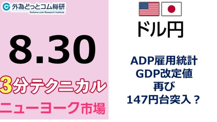 ドル/円見通し 「ADP雇用統計・ GDP改定値、再び147円台突入？」見通しズバリ！3分テクニカル分析 ニューヨーク市場の見通し　2023年8月30日
