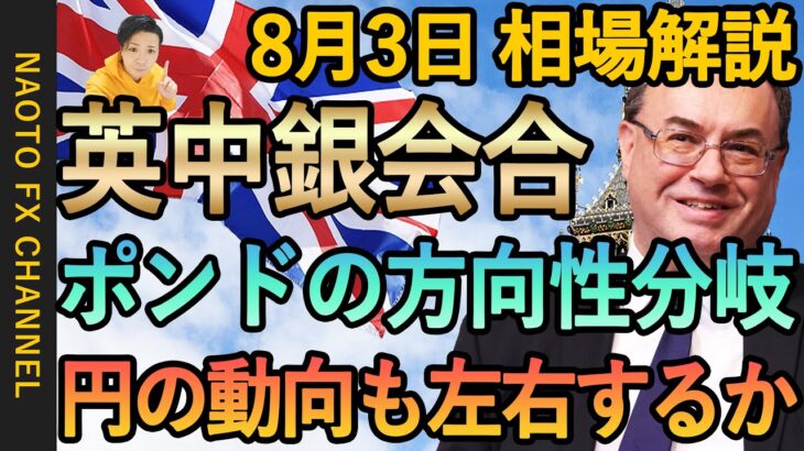 【FX 英中銀会合 ISM非製造業景況指数】8月3日FX相場解説  (ドル円・ユーロドル・ポンド円 テクニカル分析 )