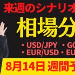 【為替FX相場分析】「ドル円・ゴールド・ユーロドル・ユーロ円　8月14日～トレードシナリオ【投資家プロジェクト億り人さとし】