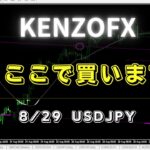 【KENZOFX】次、ここで買います！ ドル円の最新の動きを分析 2023年8月29日　 #fx初心者 #環境認識 #ドル円予想 #チャート分析