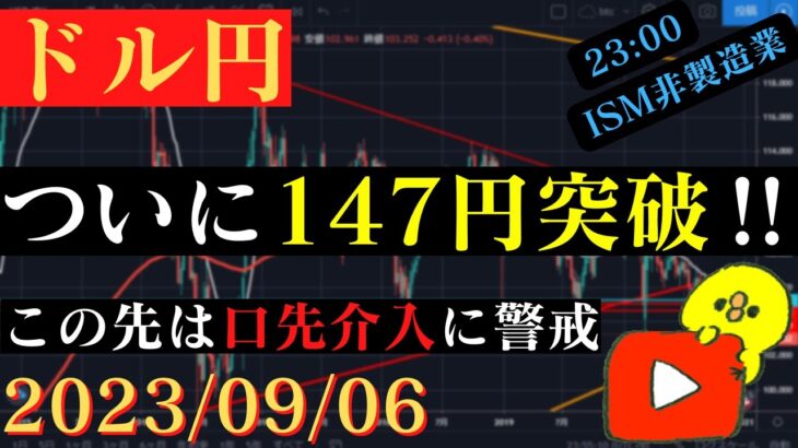 【ドル円】レンジブレイクで年初来高値更新‼148円台が視野に🐥2023/09/06🐥