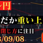 【ドル円】強い経済指標も上値は限定的。新たな材料待ちか⁉🐥2023/09/08🐥