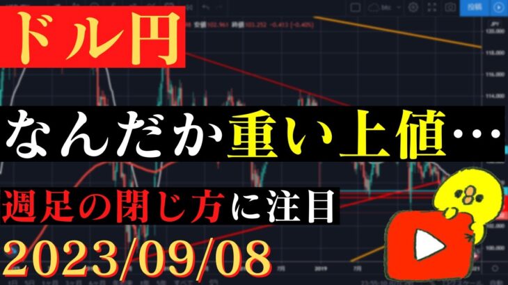 【ドル円】強い経済指標も上値は限定的。新たな材料待ちか⁉🐥2023/09/08🐥