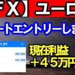 【ＦＸ】ユーロ円　現在利益＋４８万円！ショート継続！