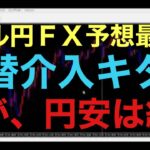 【ドル円FX予想最新】昨夜、遂に為替介入の暴落がきました！ただし、この介入下落も一時的なものだと予想してます！円安の流れは変わらず、再度150円を目指す動きになると思います！月足の波が崩れない限りは・