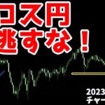 二番の二番に注目！【日刊チャート見える化2023/11/28(ドル円、ポンド円、ユーロドル、ポンドドル、ゴールド等)FX見える化labo】