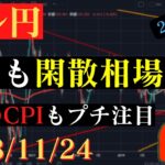 【ドル円】本日は米取引時間短縮で閑散相場か？日本のCPIもプチ注目。🐥2023/11/24🐥