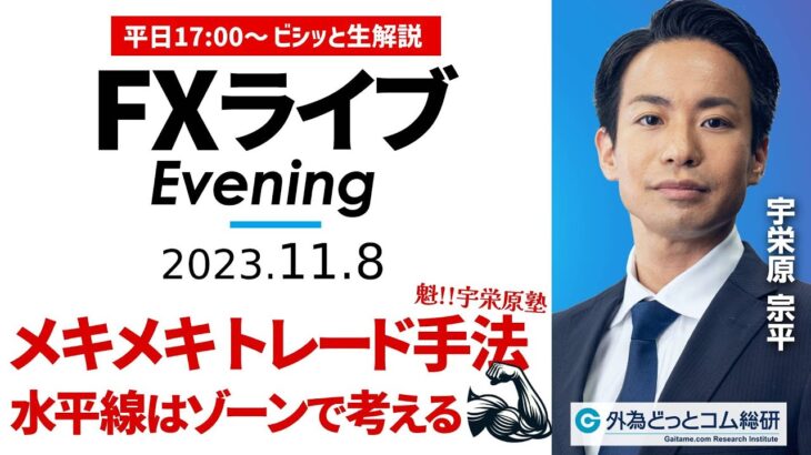 【FXライブ解説】ドル円を詳細分析！水平線はゾーンで考える｜相場見通しをテクニカル分析で配信 2023/11/8