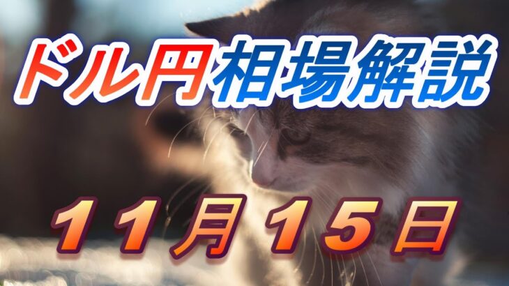 【TAKA FX】ドル円為替相場の前日の動きをチャートから解説。日経平均、NYダウ、金チャートも。11月15日