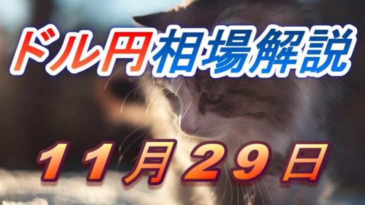 【TAKA FX】ドル円為替相場の前日の動きをチャートから解説。日経平均、NYダウ、金チャートも。11月29日