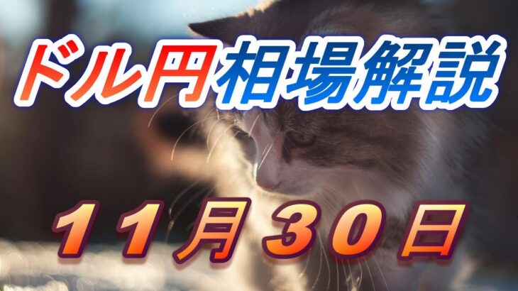 【TAKA FX】ドル円為替相場の前日の動きをチャートから解説。日経平均、NYダウ、金チャートも。11月30日