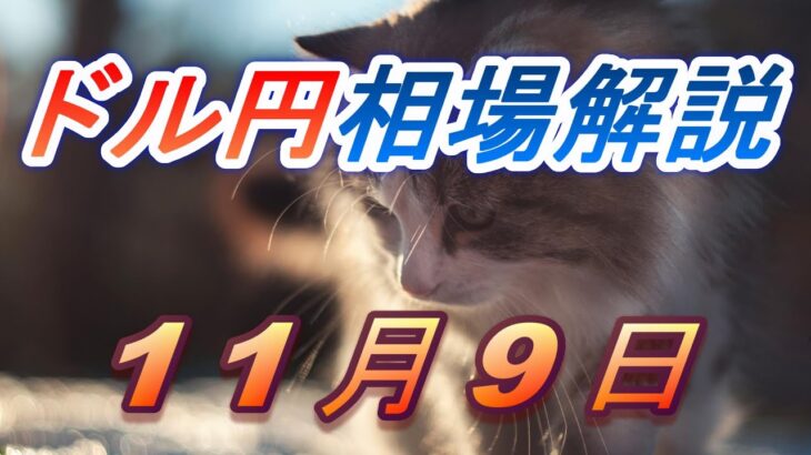 【TAKA FX】ドル円為替相場の前日の動きをチャートから解説。日経平均、NYダウ、金チャートも。11月9日