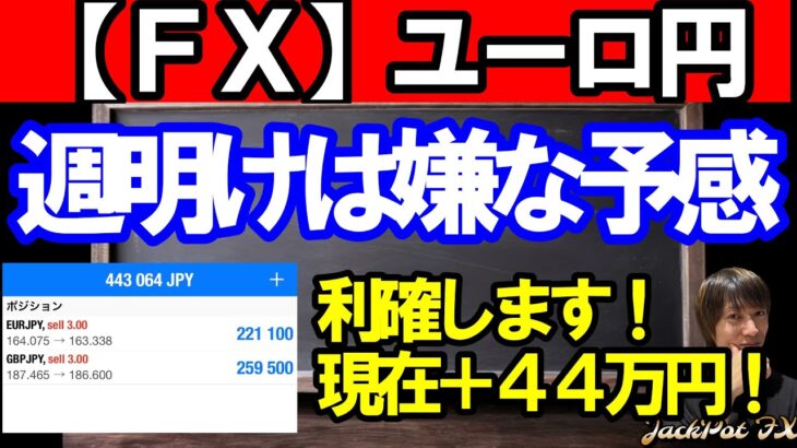 【ＦＸ】ユーロ円　危険！日足下髭完成！ショート現在＋４４万円！